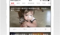 鲁鲁在线视频,揭秘热门视频背后的精彩故事